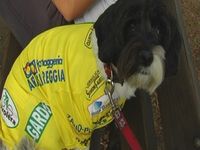 2 TROFEO CYCLING TEAM CORTE FRANCA